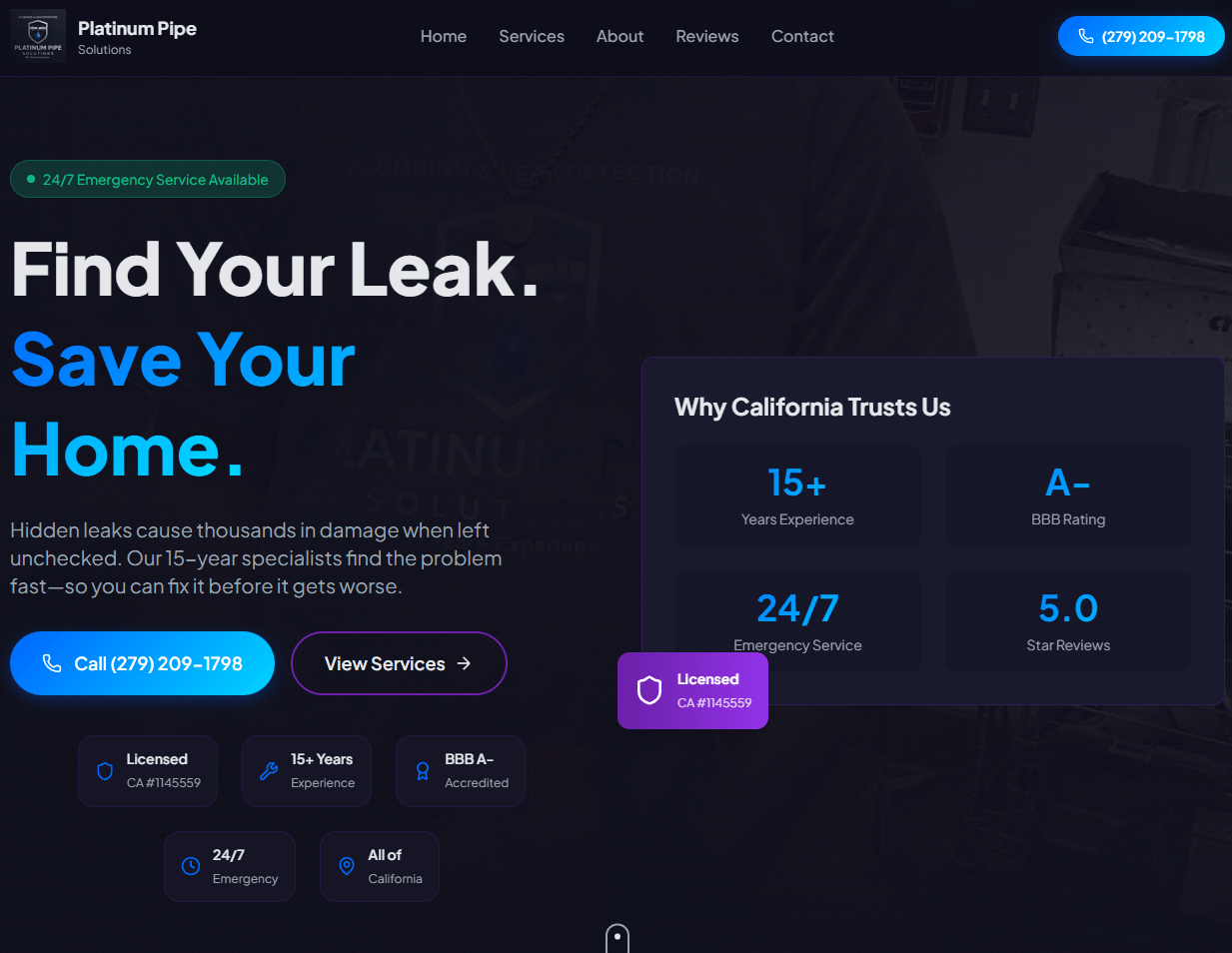 Platinum Pipe Solutions website screenshot